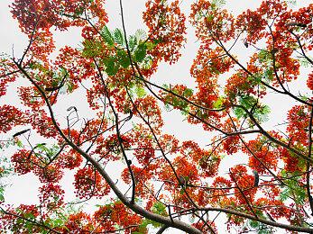 V社疑似在测试Steam新系统 将整治游戏评论乱象