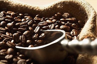 《尸体派对：血色笼罩》欧美版10月发售 登陆PC和主机