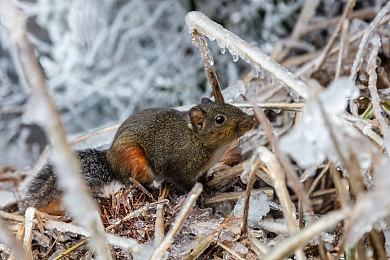 《坎巴拉太空计划增强版》正式发售 主机版免费升级