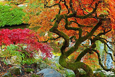 新年货《NBA 2K23》即将揭晓 德文·布克或为封面球员